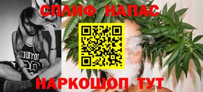 apvp Гусев